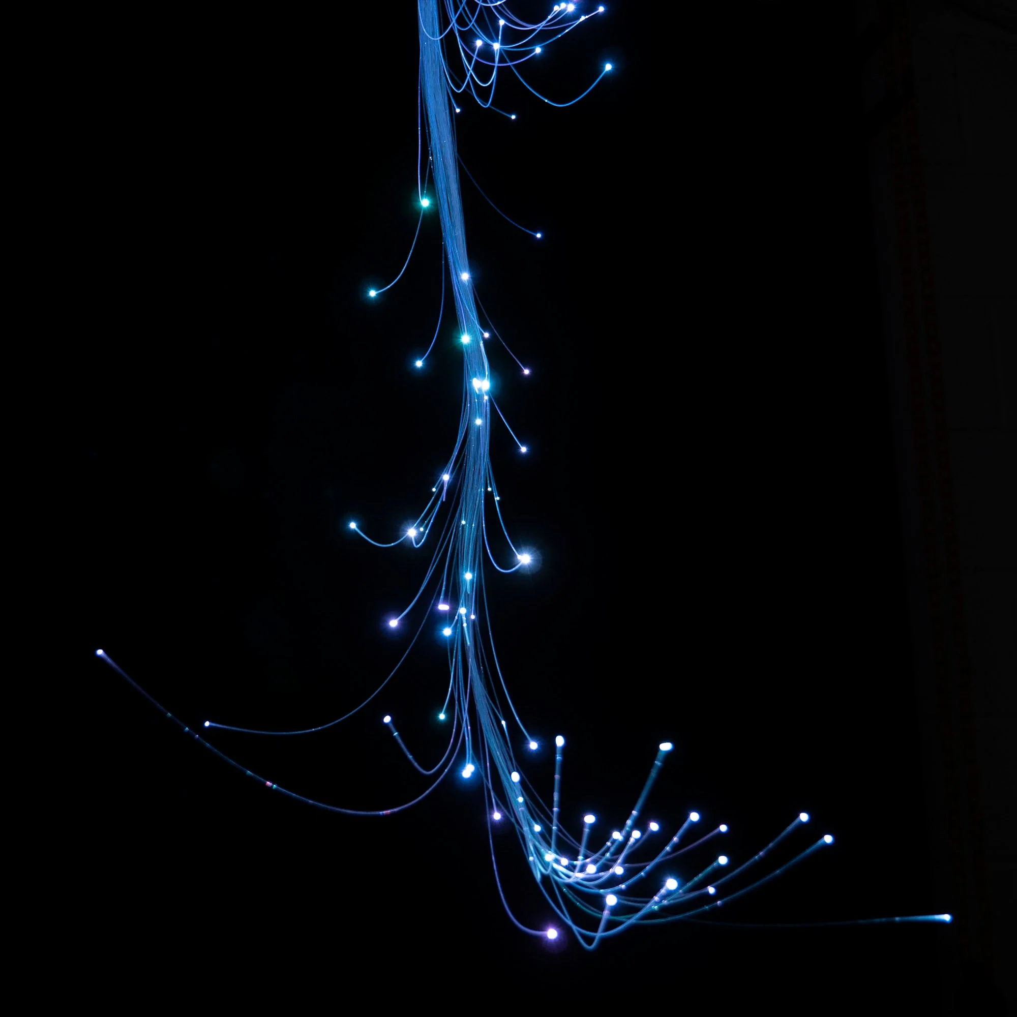 Fiberflies FiberHead - Image 3
