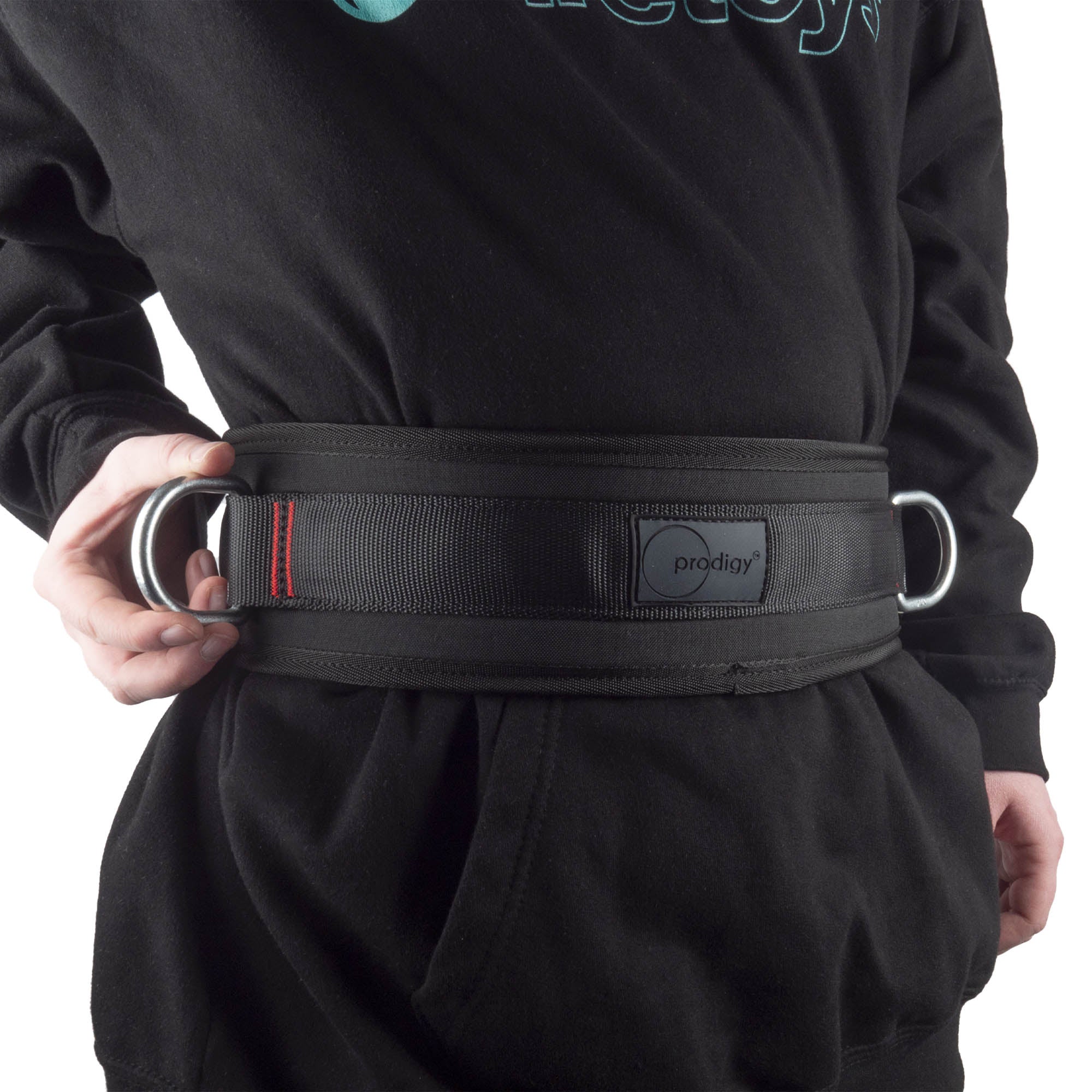 Prodigy Acro-Lunge Belts - Image 6