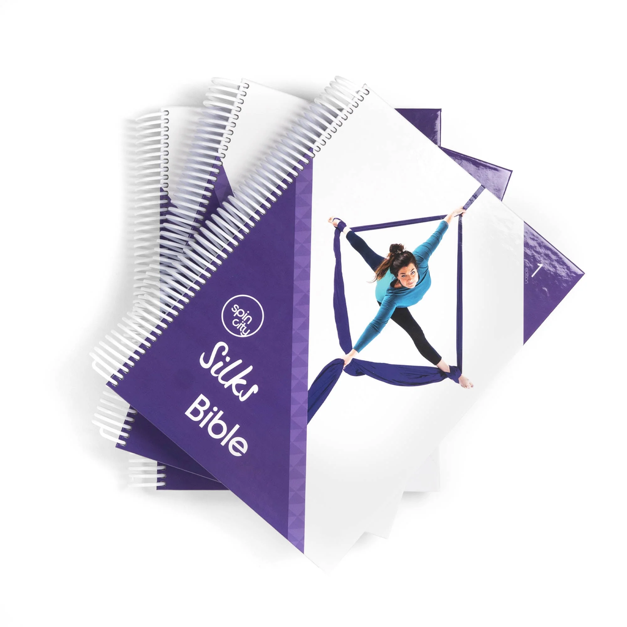 Spin City Silks Bible - (1st edition) - Image 13